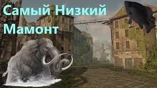 🐟Самый низкий мамонт · Crossout/Кроссаут