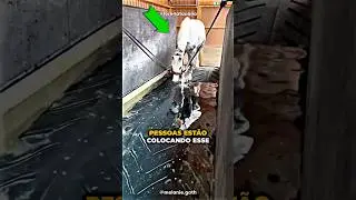 O Motivo É Surpreendente 