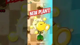 New Plant: Solar Pea! 