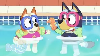 Het Zwembad | Volledige Aflevering | Bluey - Officieel Nederlands kanaal