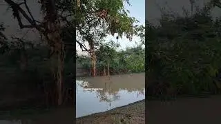 marca seu amigo para o sorteio #pescaria