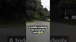 A toddler ran across the road😱