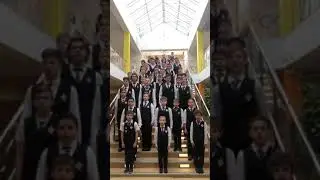 156233303 256731326071078 7566213305887986945 n