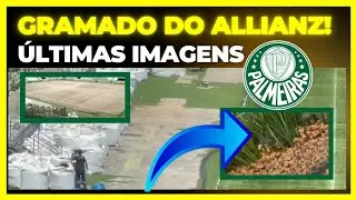 🚨GRAMADO DO ALLIANZ ÚLTIMAS IMAGENS DE COMO ANDA A REFORMA. 