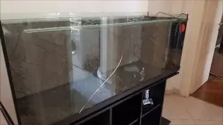 ACQUARIO 400 LITRI (CASA ALLAGATA)