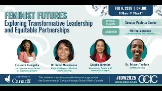 IDW2025 Gender Panel: Feminist Futures