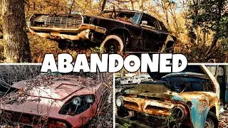Hundreds of Classic Cars Left to Rot in the Woods
