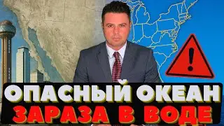 Опасный Океан: Гость из глубины. Жара и ураган. Сенсация из Америки.