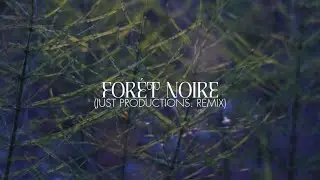 Soulfy Beatz - Forét Noire (Just Productions. Remix) (Official Visualizer)
