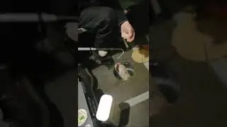 Крайняя рыбалка. Неплохо отложились😅