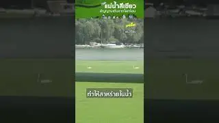ปรากฎการณ์แม่น้ำสีเขียว หรือนี่คือสัญญานเตือนจากปัญหาโลกร้อน#Climatechnage #โลกเดือด #สัญญานเตือน