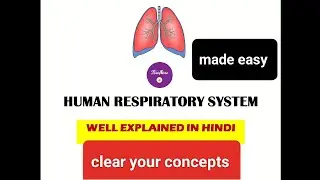 HUMAN RESPIRATORY SYSTEM,(श्वसन क्रिया)/Breathing/Lungs/In hindi, class10,class11,class12,NEET