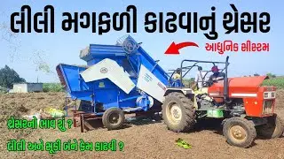 Lili magfali kadhvanu thresher | How to threshing wet groundnut | Thresher machine | Threshing