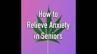 How to Relieve Anxiety in Seniors With Dr. Jordan Tishler