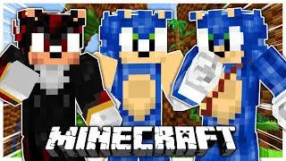 Movie Sonic Meets Simp Shadow and Simp Sonic In MINECRAFT!!