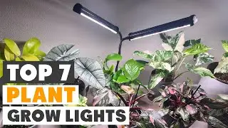 7 Best LED Grow Lights for Indoor Plant Success
