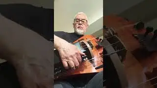 Chasen Senem #shorts #hurdygurdy