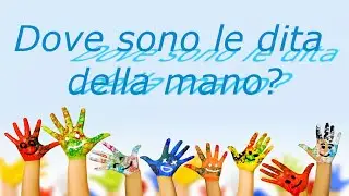 Dove sono le dita della mano? Karaoke con testo 