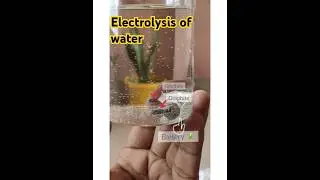 ⚡Electrolysis of Water💦 