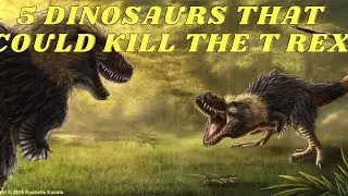 TOP 5 DINOSAURS THAT COULD KILL T REX!