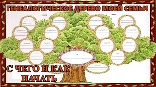 Как составить генеалогическое дерево