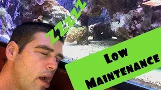 150 gallon Ultra Low Maintenance reef aquarium