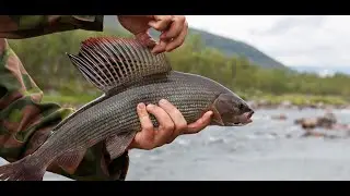 🐠Russian Fishing 4 /Русская рыбалка 4 ▶🐟 Тест RTX 3050🐟