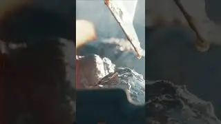 Стейки Рецептов