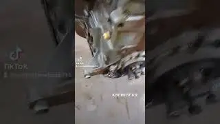 26 февраля 2022 г.