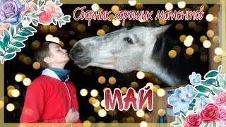 Сборник хороших моментов | МАЙ