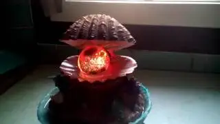 Ракушка