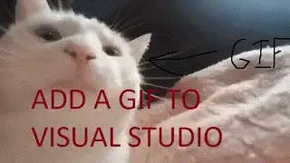 How to Add a GIF In Visual Studio (C#)