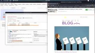 Exploiting cross-site scripting to steal cookies (Video solution, Audio)