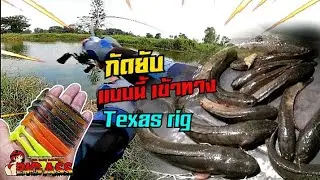 เหยื่อดี หมายเด็ด​ เท็ก​ซัส​ริก​ Texas​ rig​ #น้าศาล_เบ็ด​ซิ่ง​