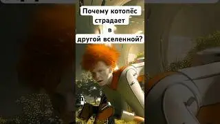 Почему котопёс страдает?