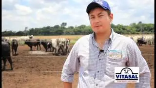 Entrevistas josé milton rios