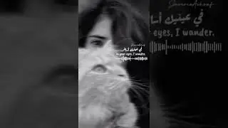 Nashe mein hm #sadsong #whatsappstatus #song #shorts #foryou #cats #aesthetic