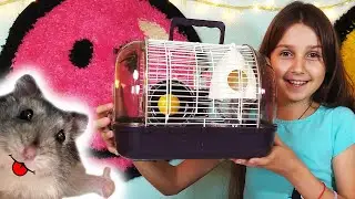 Новый Дом для ХОМЯКА Рум Тур по Клетке | Лиза и питомцы