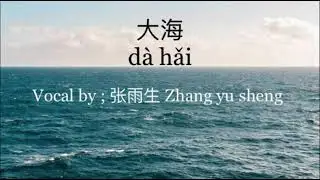 大海 ( Dà hǎi ) l Vocal by ; 张雨生 ( Zhāng Yǔ Shēng ) l Terjemahan chinese - Indo