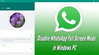 How to Disable WhatsApp Desktop full screen mode