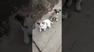 нашествие