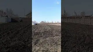 1 апреля 2024 г.