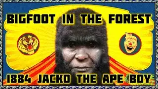 BIGFOOT IN THE FOREST - 1884 JACKO THE APE BOY