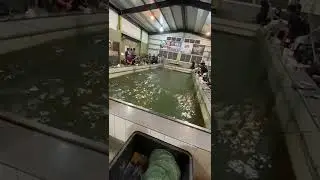 Swimming Pool Earthquake, Water Gets out #Taiwan #earthquake