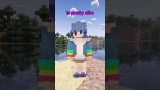 A new SMP?! Head to my "About" page and click the first link to apply! #instantava #minecraft  #mcyt