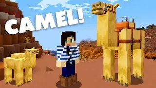 Seeing Minecraft camels for the first time!