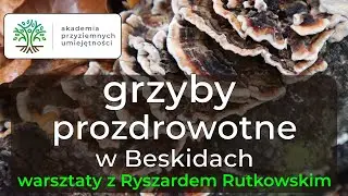 Warsztaty 