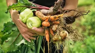 Taste and See That the Lord is Good Ep 2; A Catholic Psalm of Affirmation.