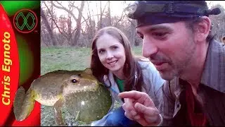How to Find Spring Peepers - With Bonus Find! (Herping)