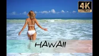 Hawaii: The Paradise on Earth. 4K VIDEO